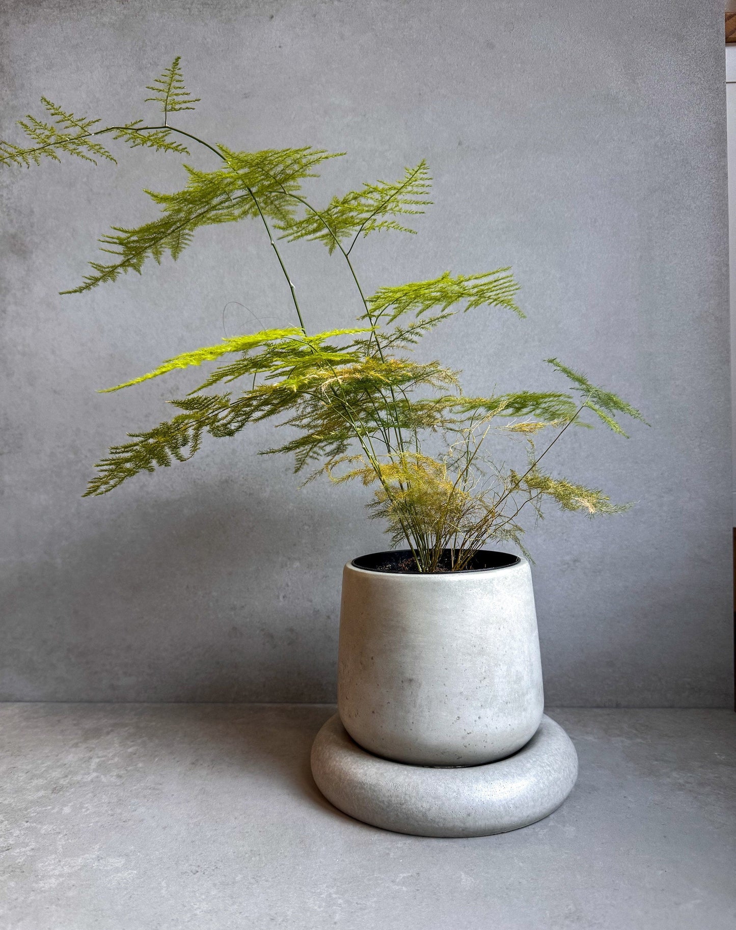 Vaso in Cemento Moderno con Sottovaso – Design Minimalista Ø18 cm, Solo Spedizione in Italia